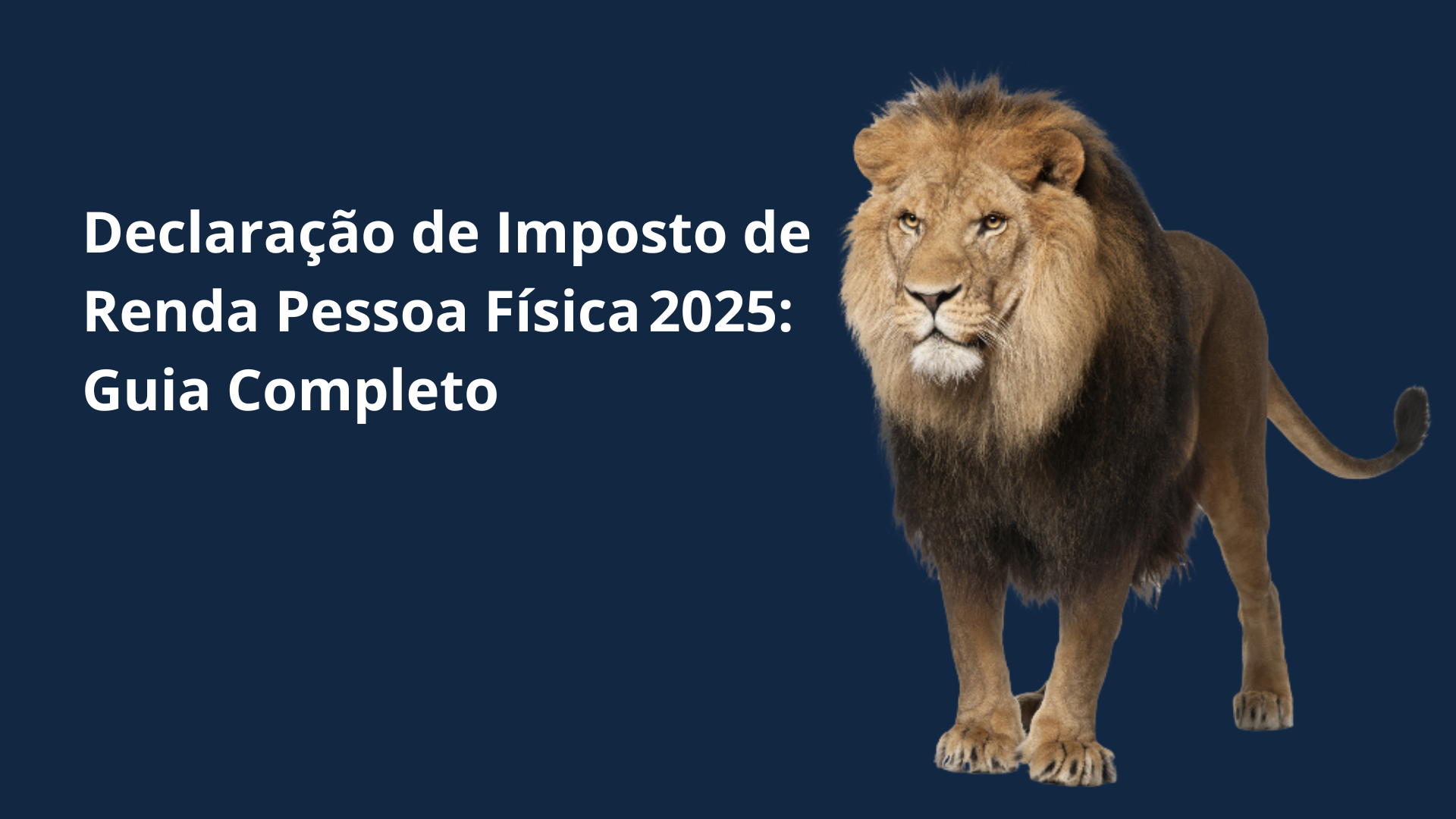 Declaração de Imposto de Renda Pessoa Física 2025: Guia Completo